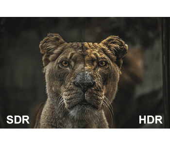 High Dynamic Range (HDR)